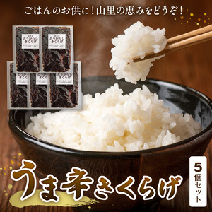 山里の恵み！うま辛きくらげ５個セット_T06004