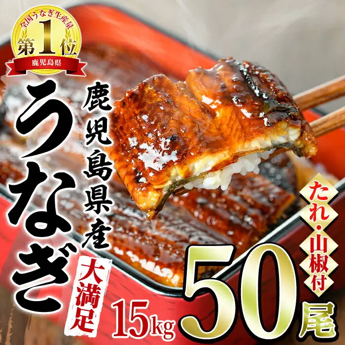 ＜大満足＞東串良町のうなぎ蒲焼(無頭)(300g×50尾・計約15000g・タレ、山椒付)うなぎ 高級 ウナギ 鰻 国産 蒲焼 蒲焼き たれ 鹿児島 ふるさと 人気【アクアおおすみ】【5004307a】