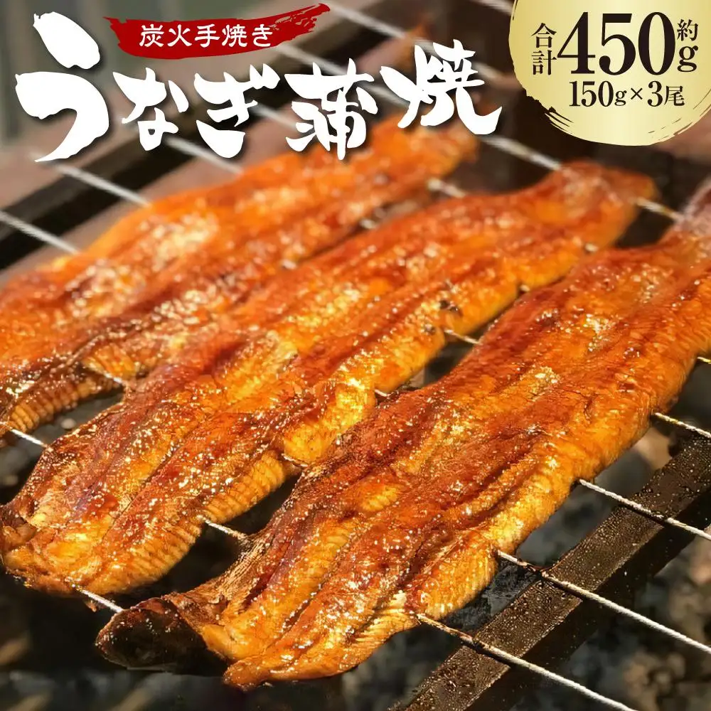 炭火手焼きうなぎの蒲焼　