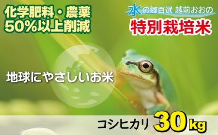 【令和7年産】こしひかり 30kg【白米】減農薬・減化学肥料 「特別栽培米」－地球にやさしいお米－[D-003005]