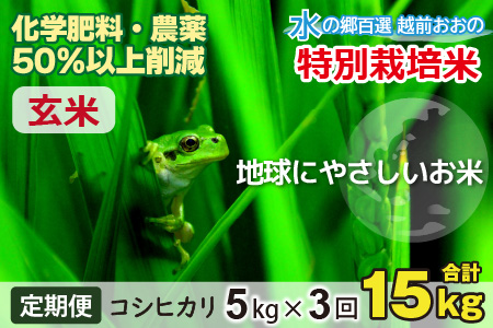 【令和7年産】【3ヶ月定期便】こしひかり 5kg × 3回 計 15kg【玄米】減農薬・減化学肥料 「特別栽培米」－地球にやさしいお米－[B-003007]