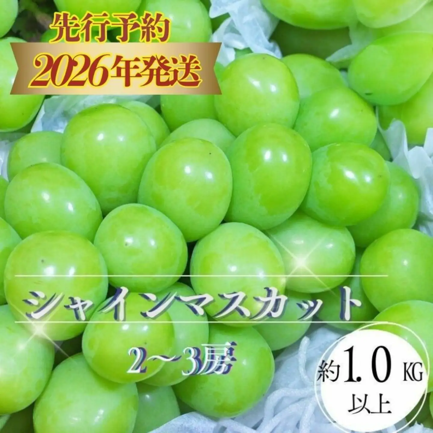 山梨県都留市産 朝採れ シャインマスカット ２~３房（約1.0kg以上）【2026年発送】シャインマスカット フルーツ