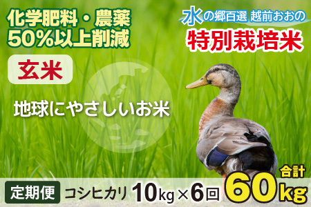 【令和7年産】【6ヶ月定期便】こしひかり 10kg × 6回 計 60kg【玄米】減農薬・減化学肥料 「特別栽培米」－地球にやさしいお米－[G-003001]