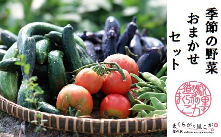 道の駅まくらがの里こが　季節の新鮮野菜おまかせセット_BQ02