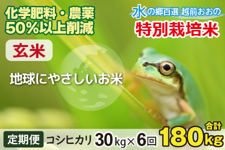 【令和7年産】【6ヶ月定期便】こしひかり 30kg × 6回 計 180kg【玄米】減農薬・減化学肥料 「特別栽培米」－地球にやさしいお米－[O-003006]
