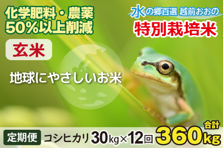 【令和7年産】【12ヶ月定期便】こしひかり 30kg × 12回 計 360kg【玄米】減農薬・減化学肥料 「特別栽培米」－地球にやさしいお米－[Q-003003]