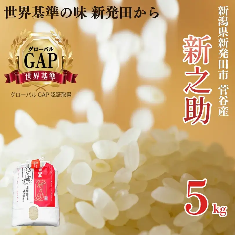 新之助【令和7年産】新之助 5㎏  玄米 米 数量限定 D18_03