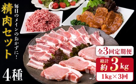 【全3回定期便】毎日のメインのおかずを彩る精肉セット 1,050g 2-3人前 4種 糸島市/糸島ミートデリ工房[ACA201]