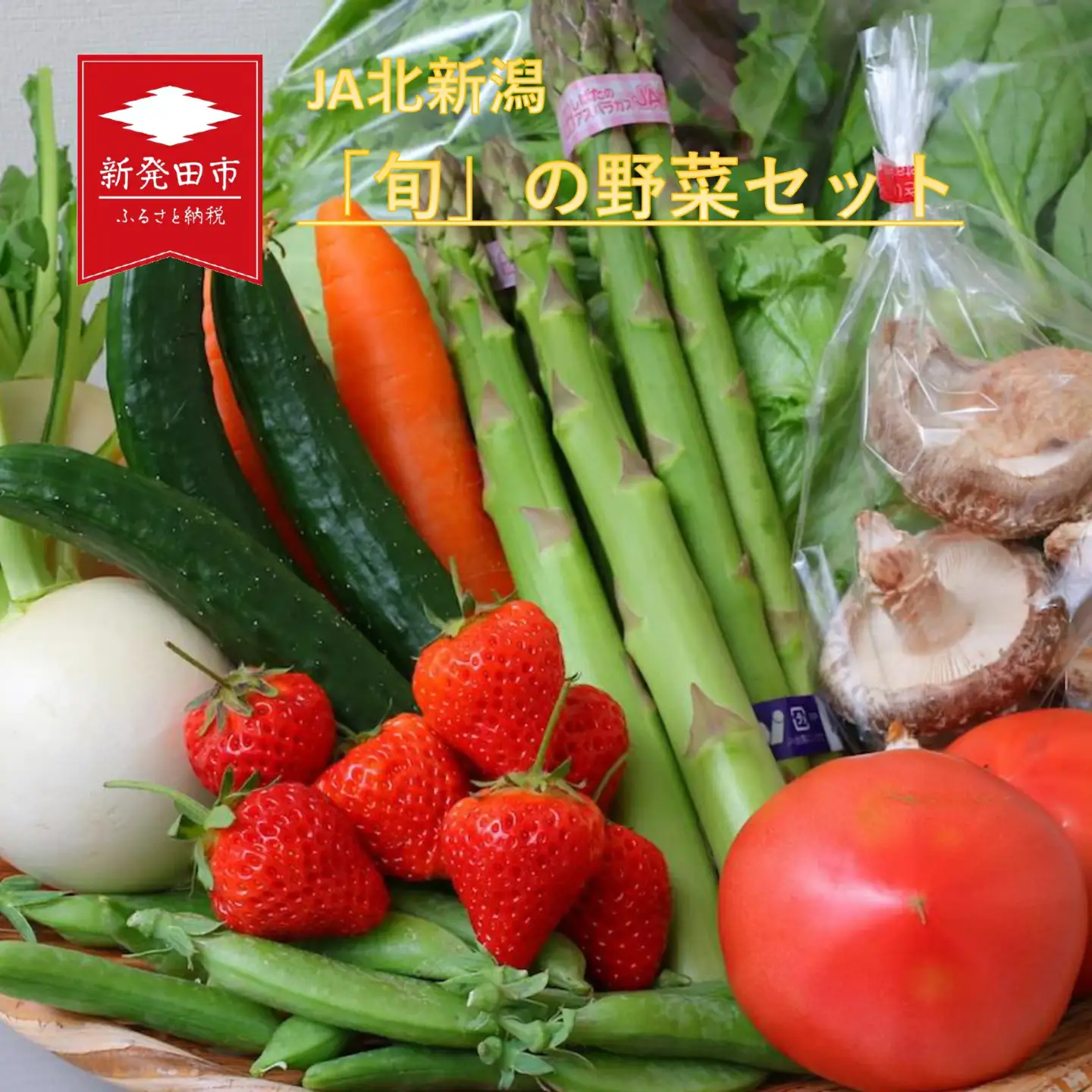 野菜 旬の野菜セット 野菜 野菜 野菜 野菜 C08