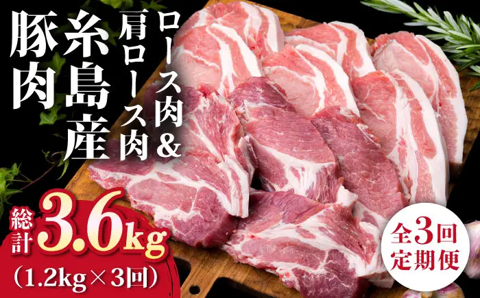 【全3回定期便】糸島豚ロース肉6枚 肩ロースカツ5枚 合計11枚セット 糸島市/糸島ミートデリ工房[ACA229]
