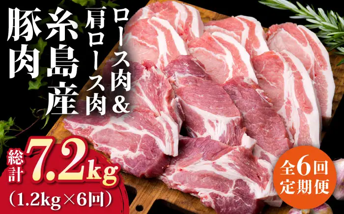 【全6回定期便】糸島豚ロース肉6枚 肩ロースカツ5枚 合計11枚セット 糸島市/糸島ミートデリ工房[ACA230]