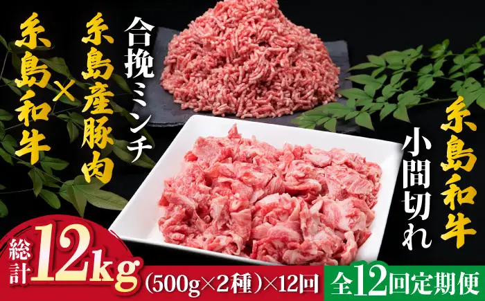 【全12回定期便】糸島和牛小間切れ500g ＆ 糸島和牛糸島豚合挽ミンチ 500g 合計1kg 糸島市/糸島ミートデリ工房[ACA239]