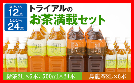 お茶 満載セット 緑茶2L×6本、500ml×24本・烏龍2L×6本 ペットボトル お茶