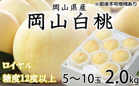 桃 2026年 先行予約 岡山 白桃 ロイヤル 5～10玉 約2kg JA おかやま のもも（早生種・中生種） もも モモ 岡山県産 国産 フルーツ 果物 ギフト 甘い 美味しい 産地直送 贈り物 高糖度 