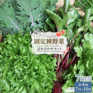 野菜［4回定期便］ 旬の「固定種」野菜 バイオダイナミック農業  7品目前後（7月～10月のお届け）冷蔵配送