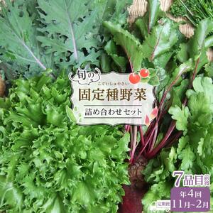 野菜［2026年先行予約 4回定期便］ 旬の固定種野菜 バイオダイナミック農業  7品目前後（11月～2月のお届け）常温配送