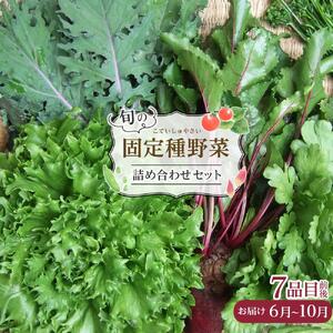野菜 旬の「固定種」野菜 バイオダイナミック農業 7品目前後（6月～10月のお届け）冷蔵配送