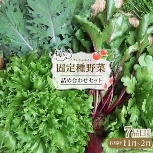 野菜［2026年先行予約］旬の固定種野菜 バイオダイナミック農業 7品目前後（11月～2月のお届け）常温配送