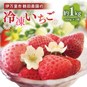 【数量限定】伊万里産急速冷凍いちご1kg　～鶴田農園～ 046-B383