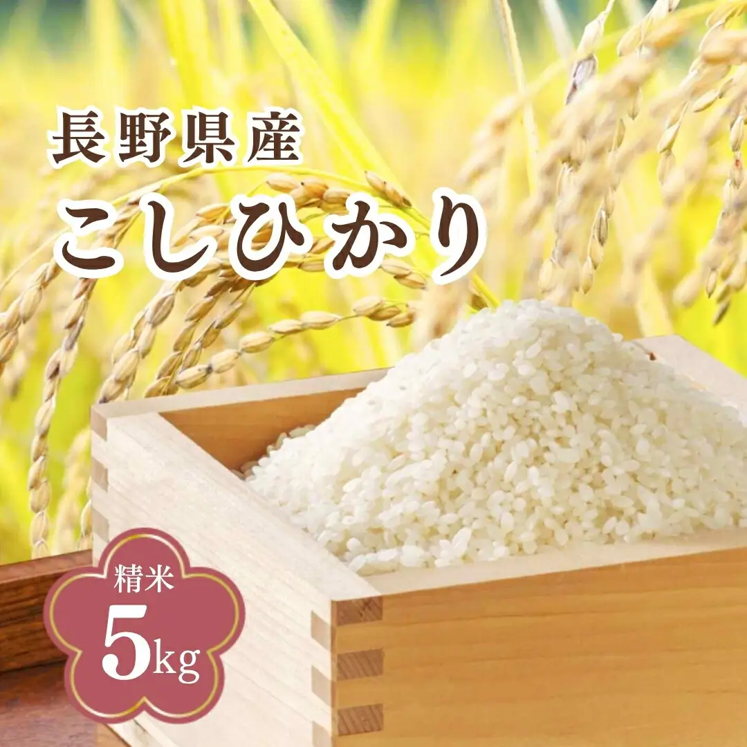 コシヒカリ 精米 5kg 令和7年産 |コシヒカリ 5kg