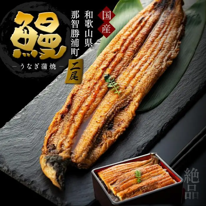 うなぎ蒲焼(2尾）うなぎ