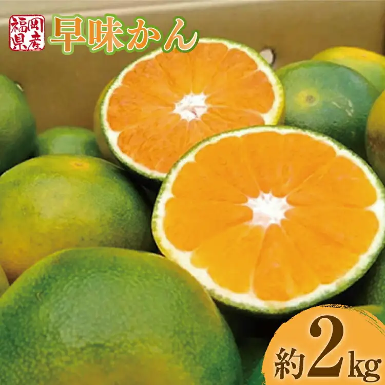 みかん 早味かん 約 2kg [um40azo970030] みかん