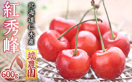 先行受付 北海道 仁木町産さくらんぼ 紅秀峰 600g（300g×2パック）北海道知事賞受賞農園 デザート スイーツ 最優秀賞 おすすめ 美味しい サクランボ チェリー フルーツ 果物 果物類　 仁木町 仁木 [端農園]