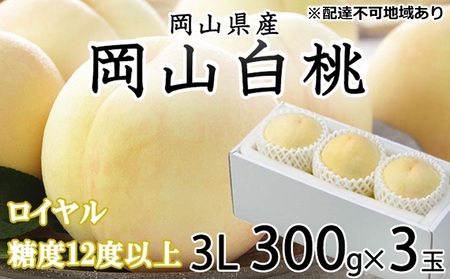 桃 2026年 先行予約 岡山 白桃 ロイヤル 3玉×約300g（3Lサイズ）JAおかやまのもも（早生種・中生種） 