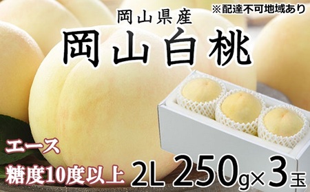 桃 2026年 先行予約 岡山 白桃 エース 3玉×約250g（2Lサイズ）JAおかやまのもも（早生種・中生種）