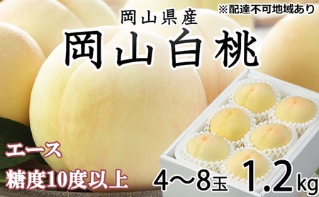 桃 2026年 先行予約 岡山 白桃 エース4～8玉 約1.2kg JAおかやまのもも（早生種・中生種） もも モモ 岡山県産 国産 フルーツ 果物 ギフト 