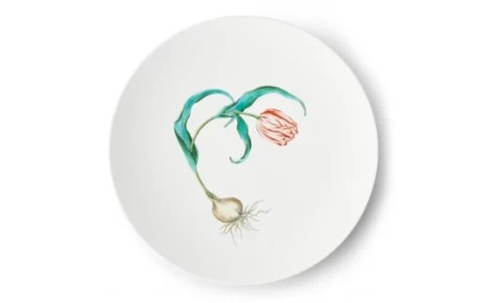 プレート 平皿 【伊万里焼】Tulips φ29cm Plate 028-H837