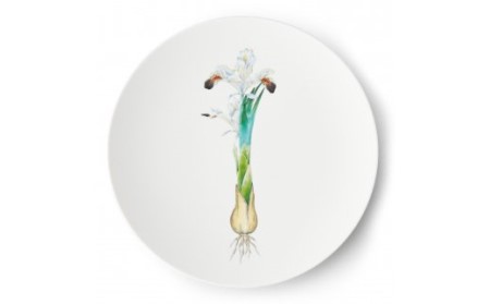 【伊万里焼】プレート 平皿 Iris φ29cm Plate 028-H836