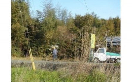 A33 ふるさとの家管理サービス 草刈又は除草2時間相当 家管理 ふるさと 管理サービス 実家 親戚 空き家 お手入れ