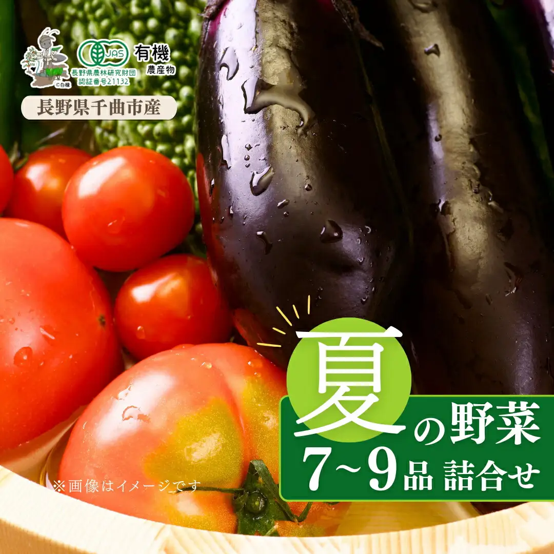 信州ありさんファーム 旬の野菜 7~9品 夏版 【有機JAS認証】|有機野菜 野菜