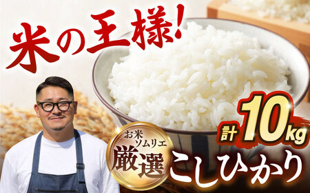 【R7年度産】壱岐産米 こしひかり 10kg [JCZ019] 米