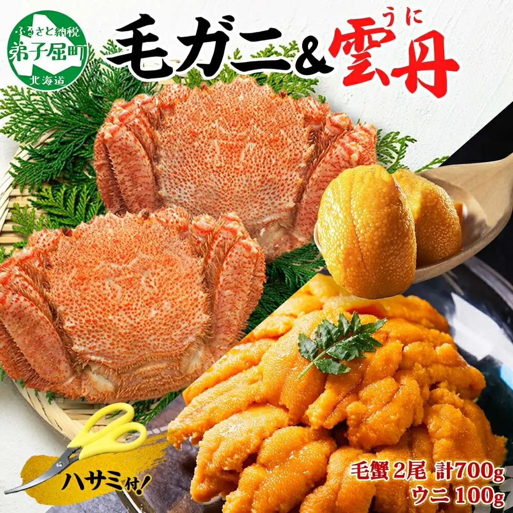3418. 毛蟹 2尾 計700g前後 うに チリ産 冷凍 100g 専用ハサミ・食べ方ガイド付き 毛ガニ 毛がに 蟹 カニ かに 蟹肉 カニ味噌  ウニ 雲丹 海鮮 ボイル 北海道 弟子屈町