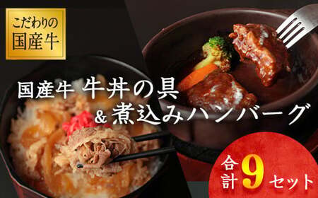 【30営業日以内配送】国産牛 牛丼の具&煮込みハンバーグ 満足の9個セット 《こだわりソースと玉ねぎが旨い簡単惣菜》 湯煎で温めるだけ　014-D-YL008