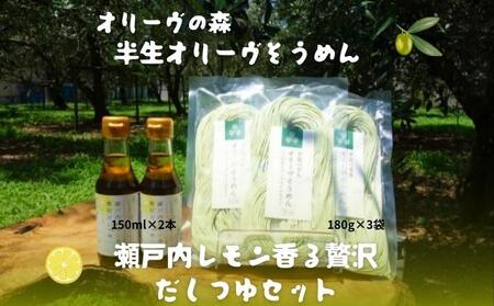 【 小豆島 】オリーヴの森 半生オリーヴそうめんと瀬戸内レモン香る 贅沢だしつゆセット 半生 そうめん 素麺 麺 麺類 レモン 檸檬 爽やか オリーブ だしつゆ ヘルシー 健康 国産 香川 香川県 土庄 土庄町