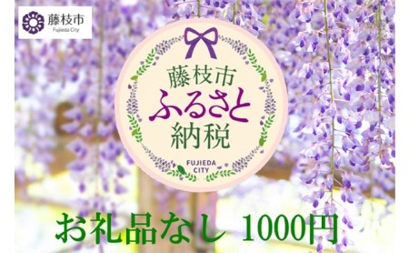 お礼の品なし 藤枝市 応援 寄附金 (1000円単位でご寄附） |    