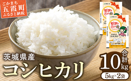 令和7年産 茨城県産コシヒカリ10kg (5kg×2) ／ お米 精米 こしひかり 旨味 安心 美味しい JA茨城むつみ 茨城県 五霞町【価格改定】
