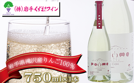 滝沢りんごワイン ポムシードル 750ml 【岩手くずまきワイン】 ワイン 酒 シードル スパークリングワイン お酒 林檎 リンゴ りんご アップル 贈り物 プレゼント ギフト プチギフト バレンタインデー ホワイトデー クリスマス 人気 オススメ おすすめ