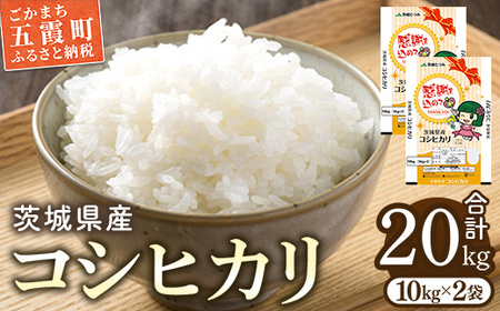 令和7年産 茨城県産コシヒカリ20kg (10kg×2) ／ お米 精米 こしひかり 旨味 安心 美味しい JA茨城むつみ 茨城県 五霞町【価格改定】