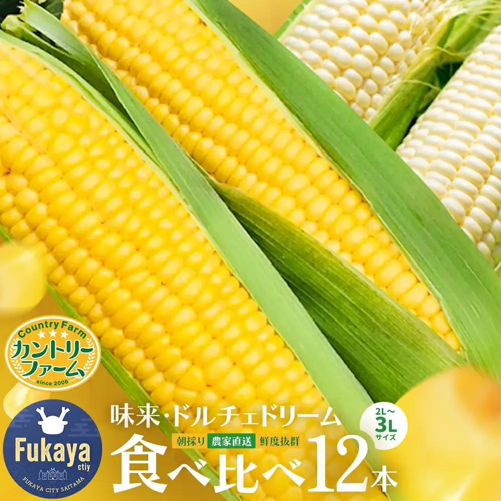 ＜先行受付：6月中旬以降出荷予定＞【農家直送】朝採りトウモロコシ＜食べ比べ2種セット＞　『味来（みらい）』6本・『ドルチェドリーム』6本　【11218-0467】 