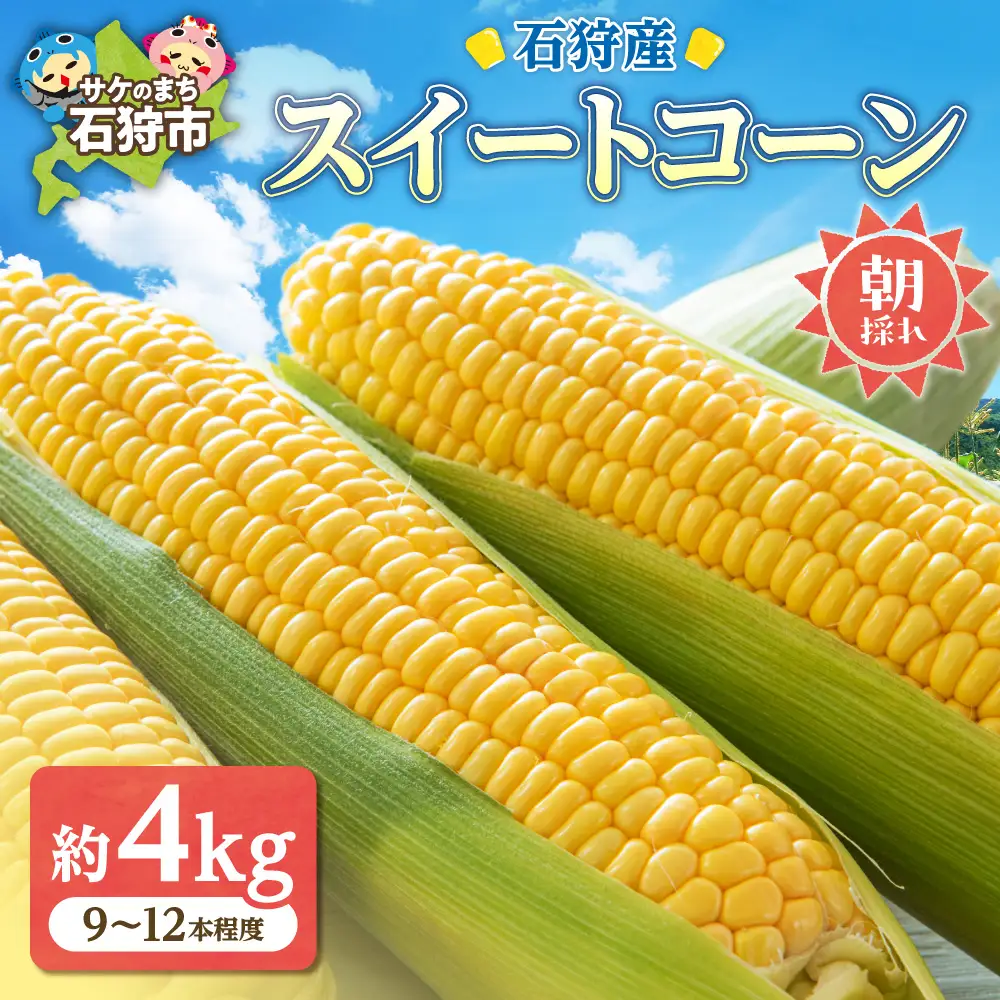 石狩産 スイートコーンとうもろこし（4.0kg以上 約9～12本）｜トウモロコシ とうきび 北海道 石狩市