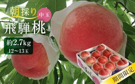 先行予約【7月下旬～8月中旬発送】飛騨桃 中玉 約2.7kg（12～13個）|桃 もも フルーツ 果物 旬 朝採れ 産地直送 白桃 品種お任せ 飛騨高山 山本果樹園 MA003