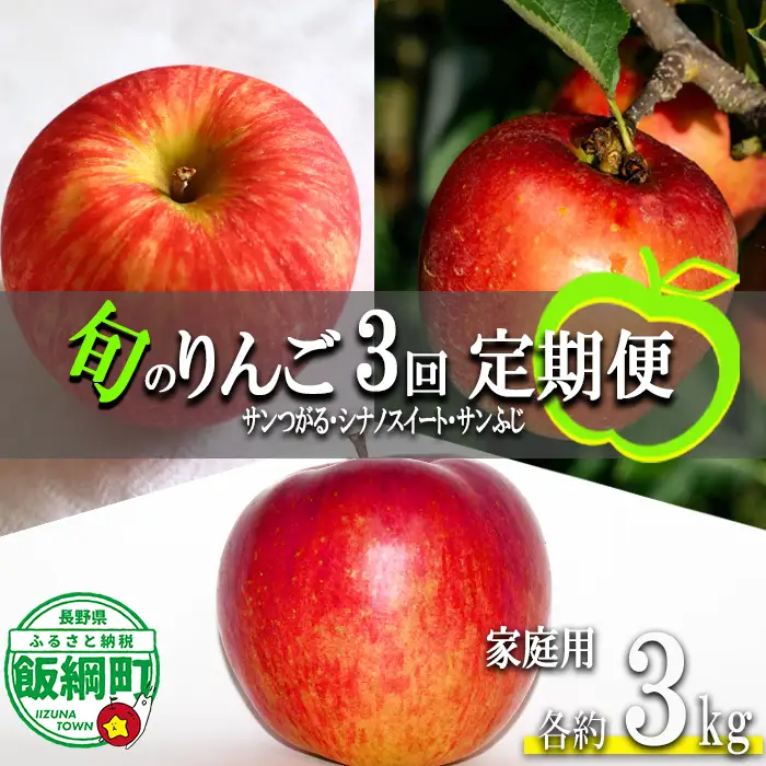 旬のりんご 【 定期便 】 家庭用 3kg × 3回 永野農園 沖縄県への配送不可 2026年9月上旬頃から2026年12月中旬頃まで順次発送予定 令和8年度収穫分 信州 果物 フルーツ リンゴ 林檎 長野 予約 農家直送 長野県 飯綱町 [1316]