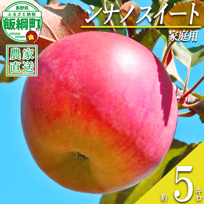 りんご シナノスイート 家庭用 5kg 丸山りんご園 沖縄県への配送不可 2026年10月上旬頃から2026年11月上旬頃まで順次発送予定 令和8年度収穫分 信州 果物 フルーツ リンゴ 林檎 長野 予約 農家直送 長野県 飯綱町 [0398]