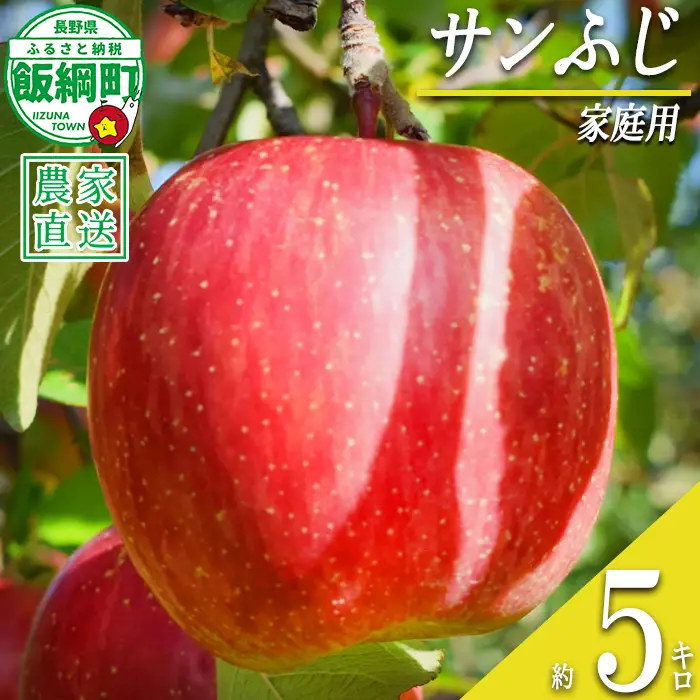 りんご サンふじ 家庭用 5kg 丸山りんご園 沖縄県への配送不可 2026年12月上旬頃から2027年1月上旬頃まで順次発送予定 令和8年度収穫分 信州 果物 フルーツ リンゴ 林檎 長野 予約 農家直送 長野県 飯綱町 [0710]