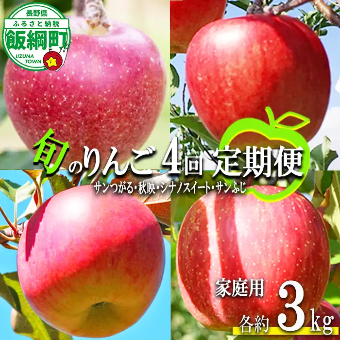 旬のりんご 【 定期便 】 家庭用 3kg × 4回 丸山りんご園 沖縄県への配送不可 2026年9月上旬頃から2026年12月中旬頃まで順次発送予定 令和8年度収穫分 信州 果物 フルーツ リンゴ 林檎 長野 予約 農家直送 長野県 飯綱町 [0709]