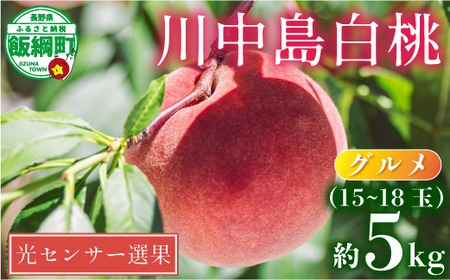 グルメ 桃 5kg （ 川中島白桃 ） 糖度13度以上 光センサー選別品沖縄県への配送不可 日時指定および不在指定不可 2026年8月下旬頃から2025年9月中旬頃まで順次発送予定 長野県 飯綱町 [0056]